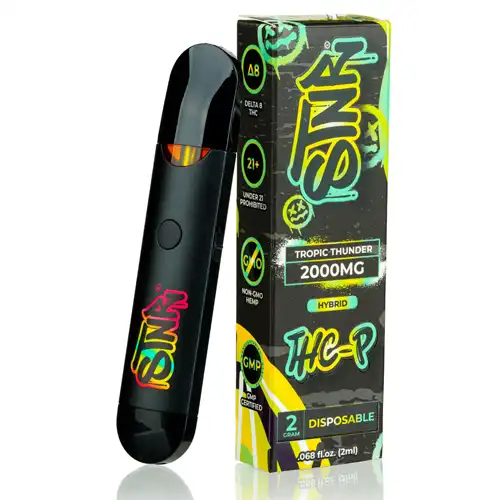 STNR THCP 2Gram Disposable