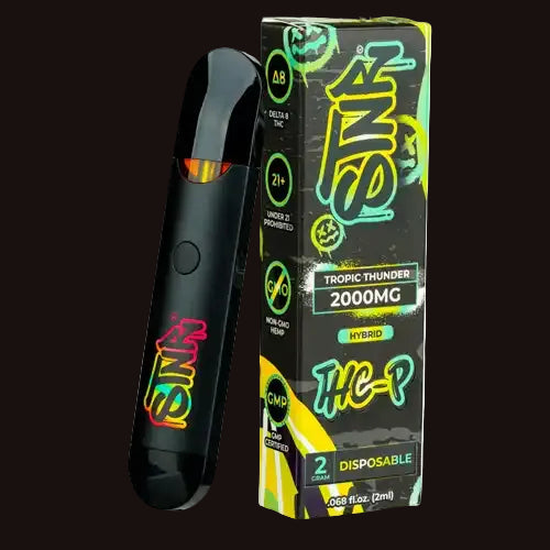 STNR THCP 2Gram Disposable