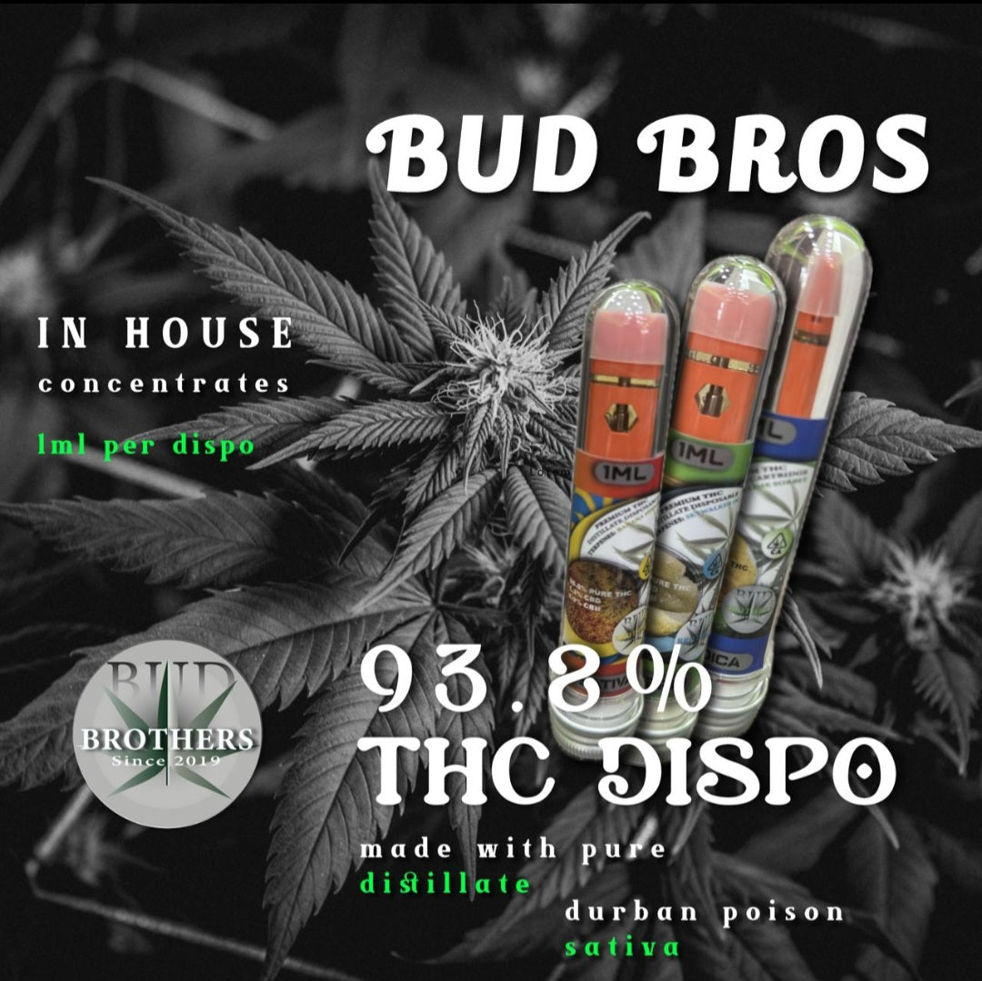 Bud Brothers-1G Disposable